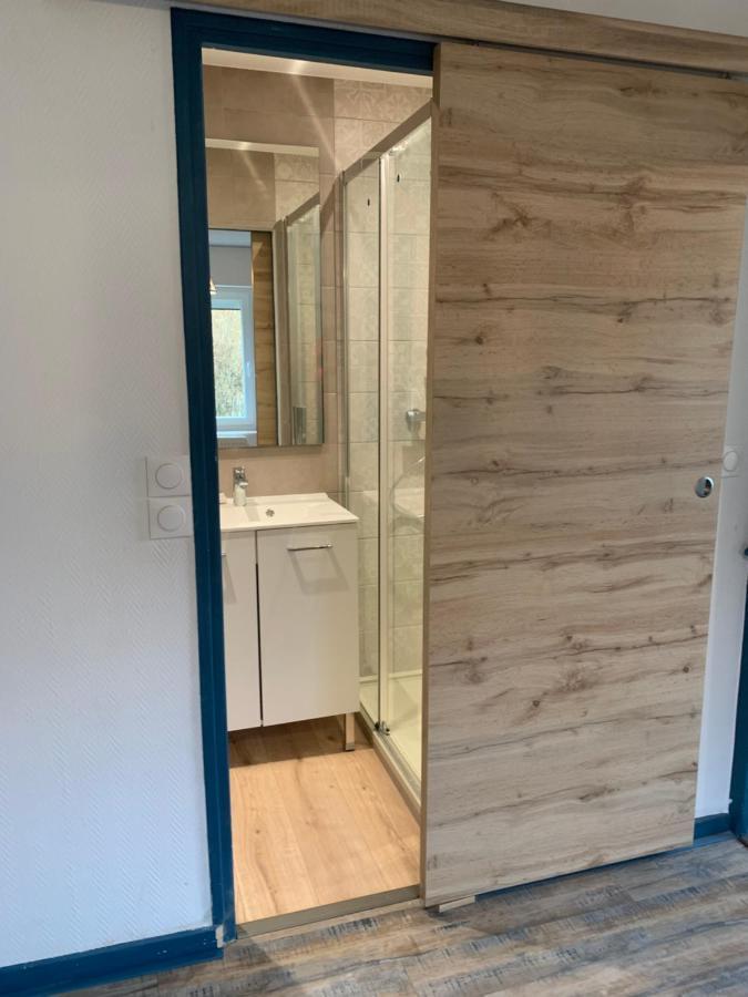 Le Joel Appartement F1 De 21 M² Choisey Екстериор снимка